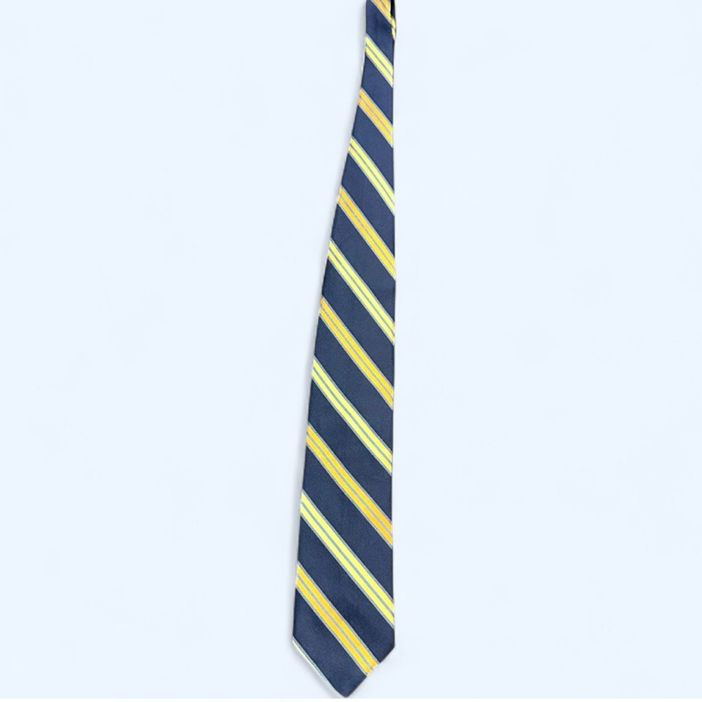 Hart Schaffer Marx Striped Multi-Color Tie made from Silk